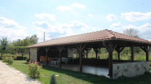 IMG_9478.JPG